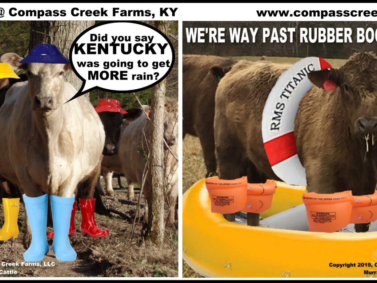 The Winter of the&nbsp;Mud